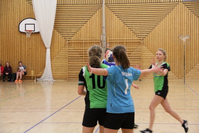 2016_01_16 Landesliga Jugend 19